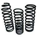 Coil Springs en Polvo Negro